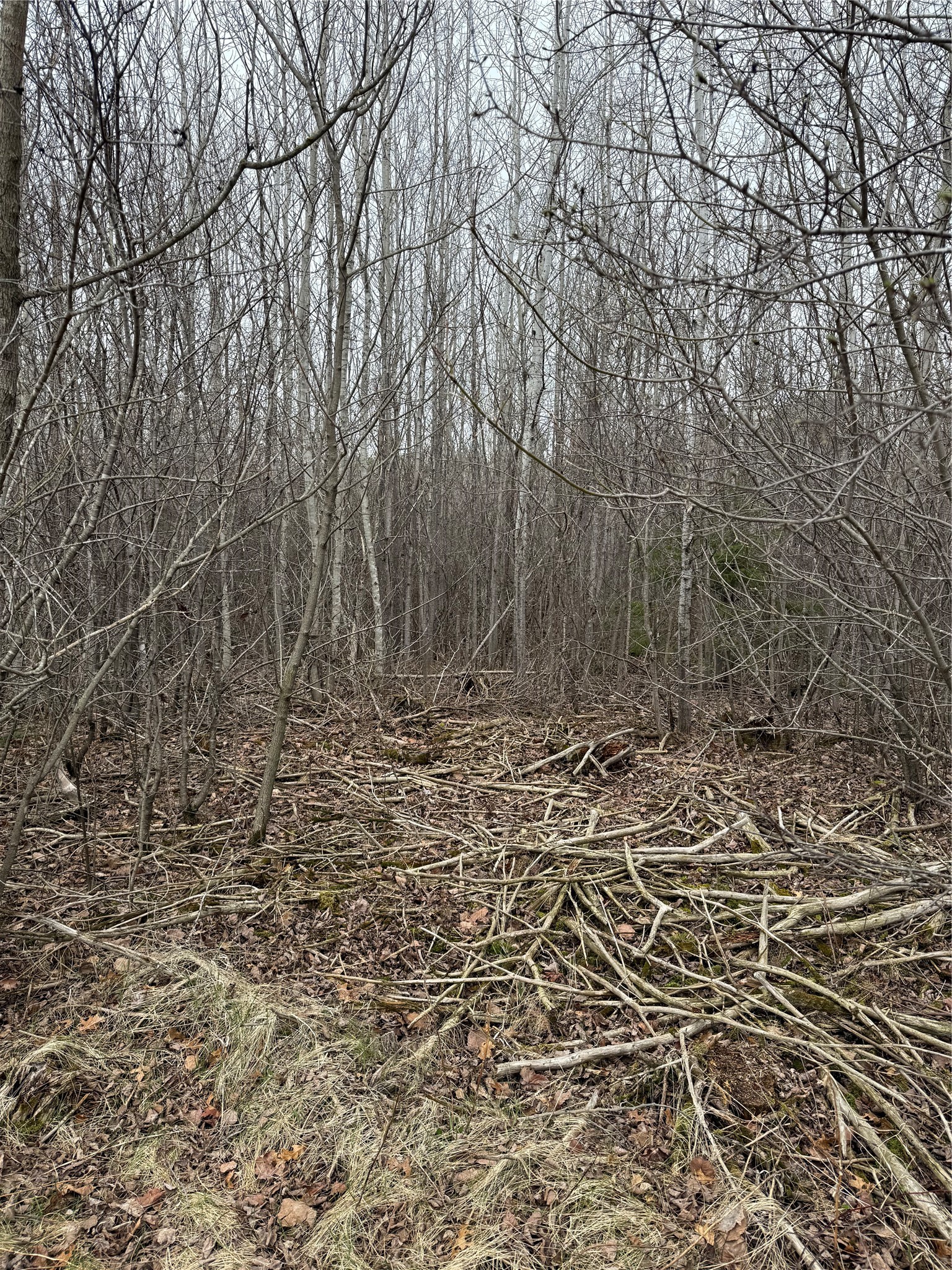 0 County Road Ee Property Photo 13