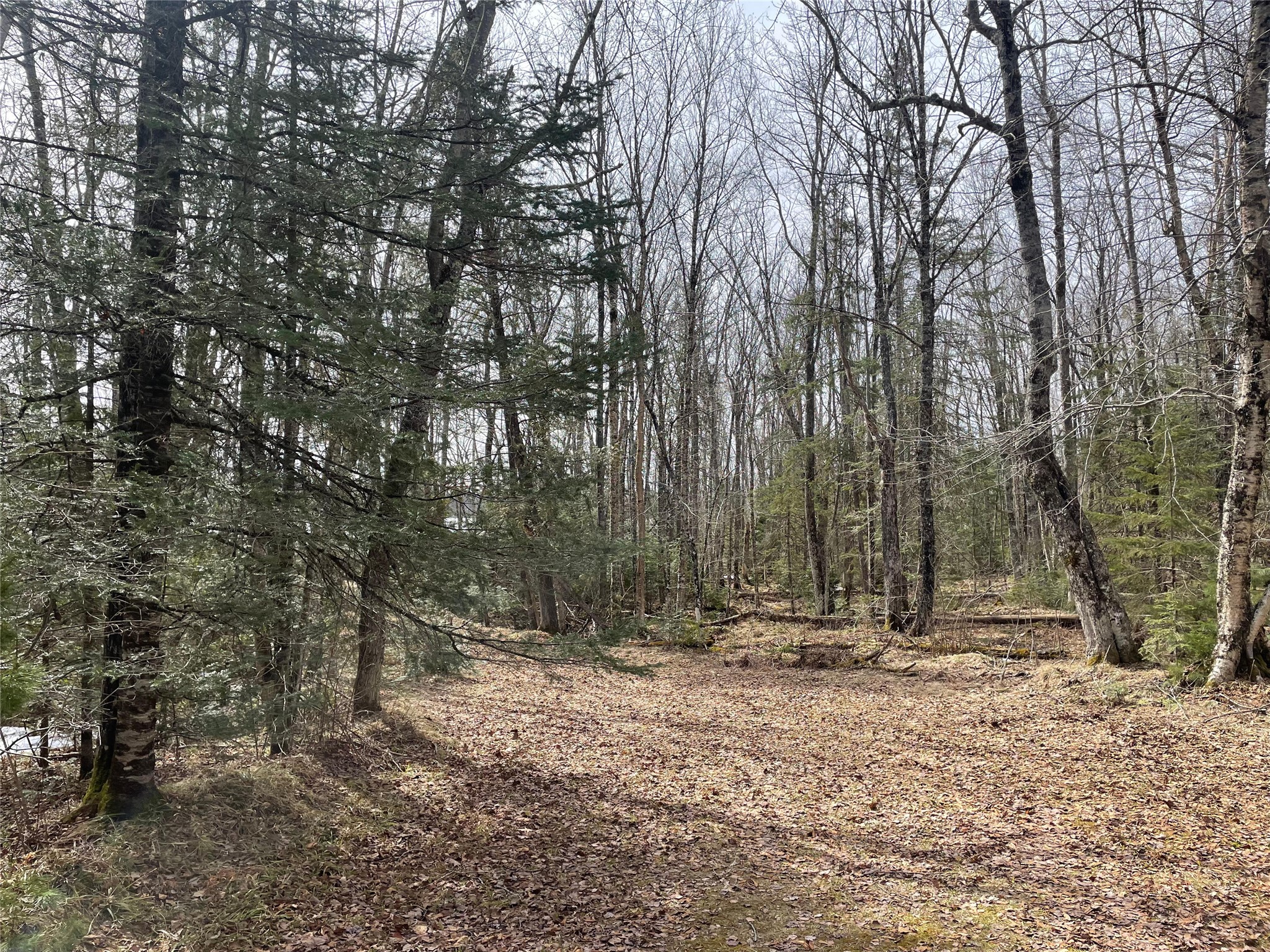 4091 W North Clover Road Property Photo 8