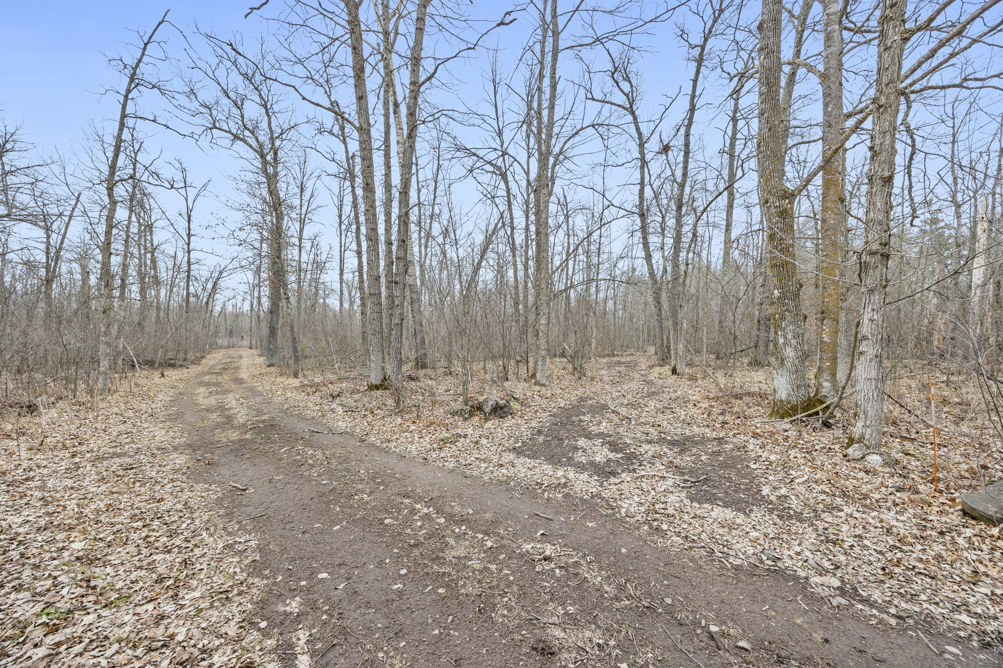 4996 Springbrook Trail Property Photo 45