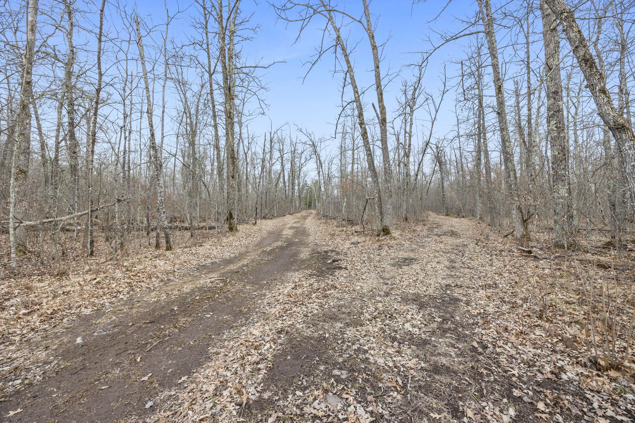 4996 Springbrook Trail Property Photo 46