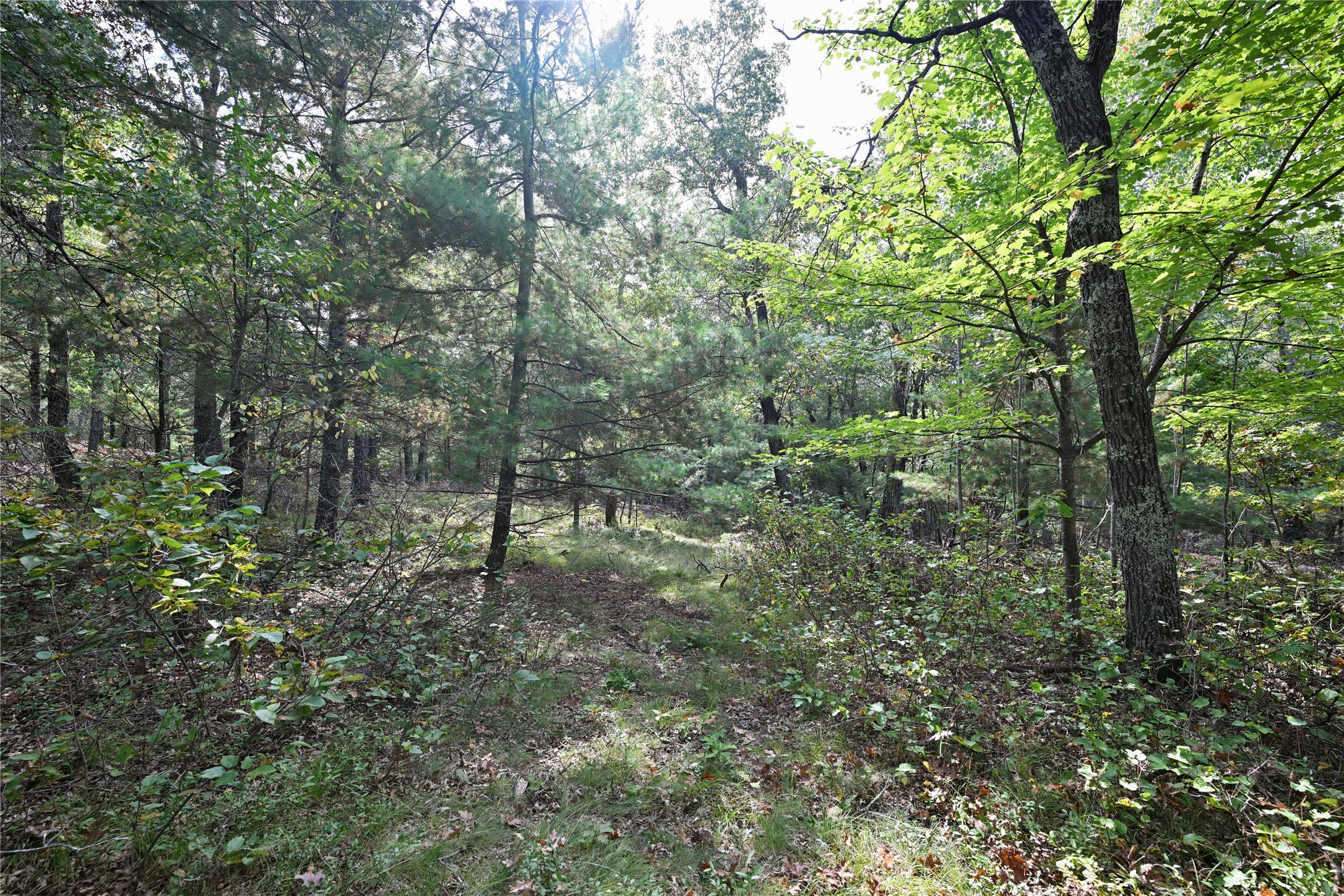 Lot 3 Dragon Drive Property Photo 6