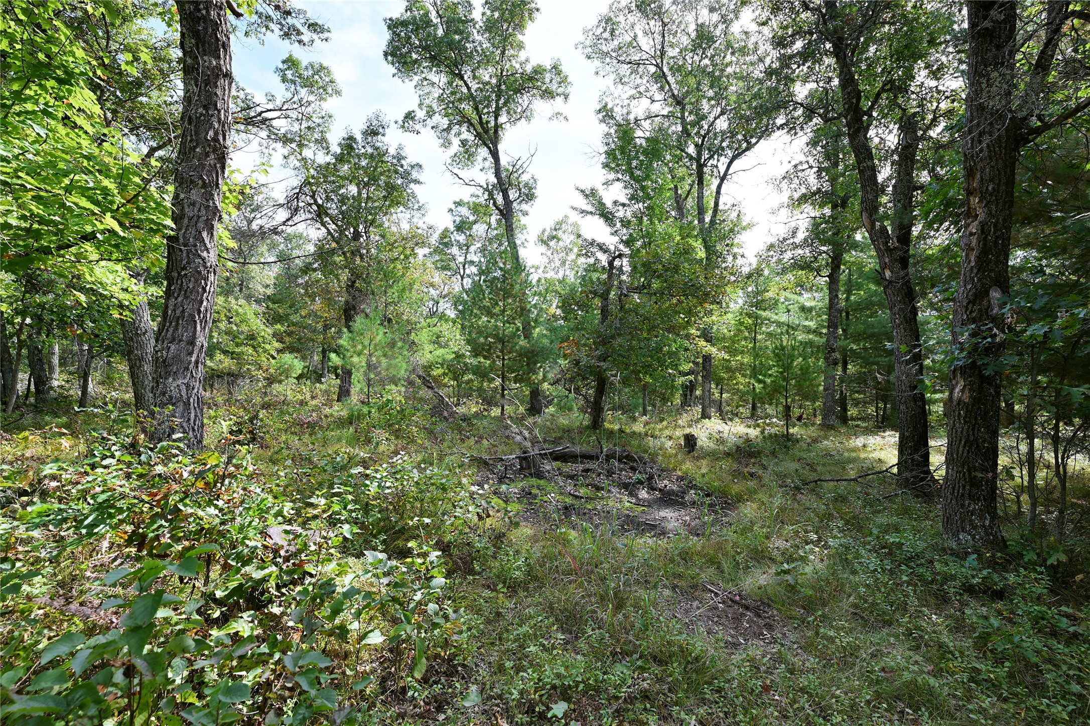 Lot 3 Dragon Drive Property Photo 7