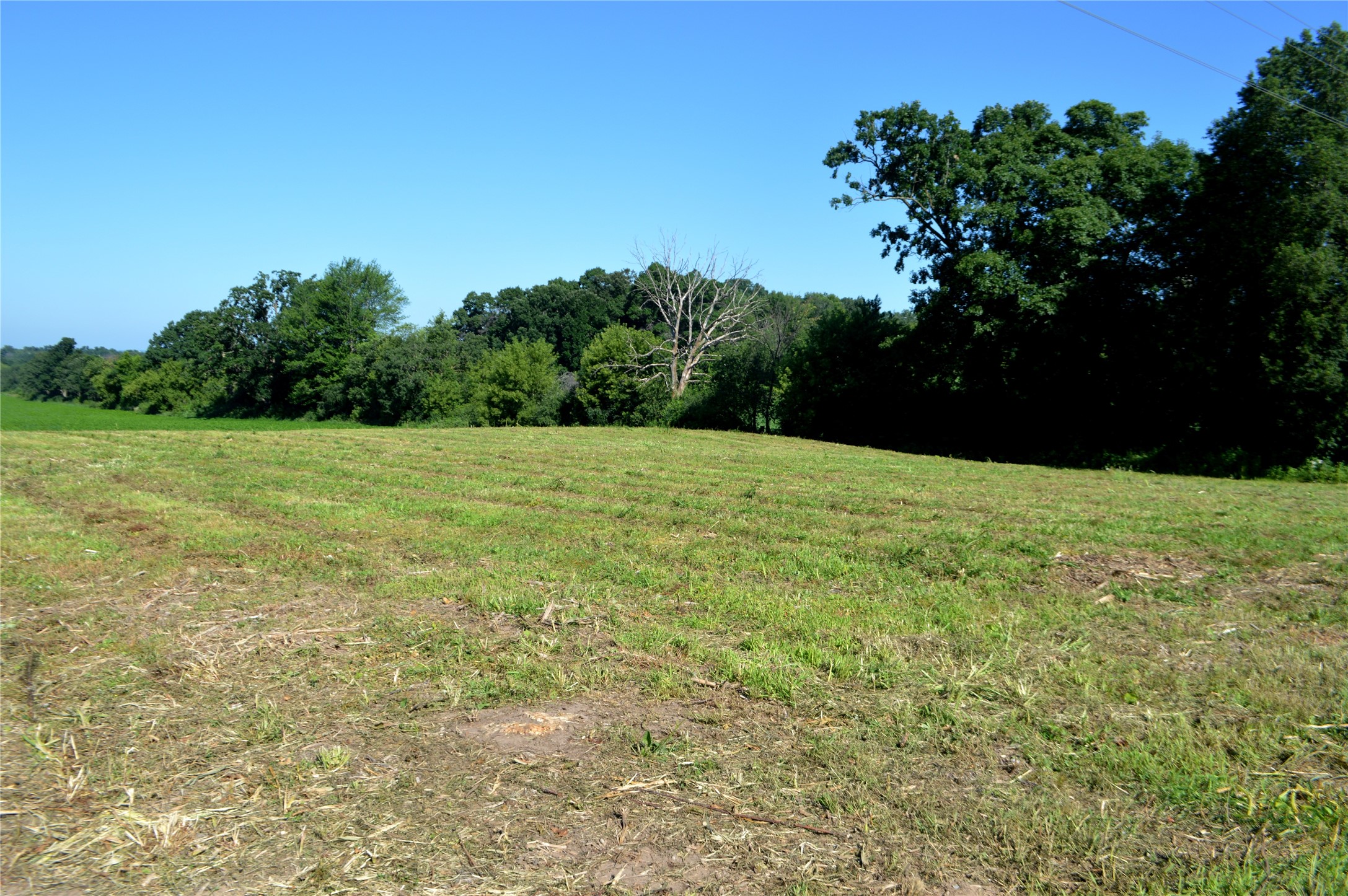 00 Highway Ss Property Photo 7
