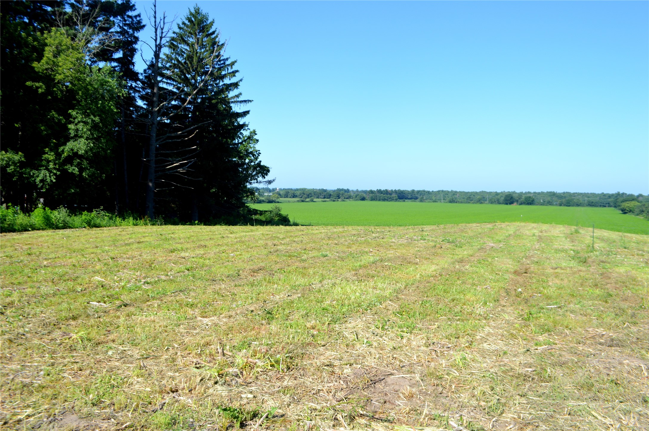 00 Highway Ss Property Photo 8