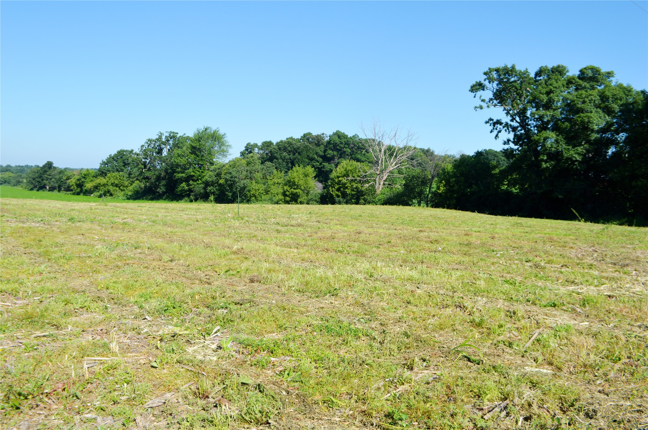 00 Highway Ss Property Photo 13