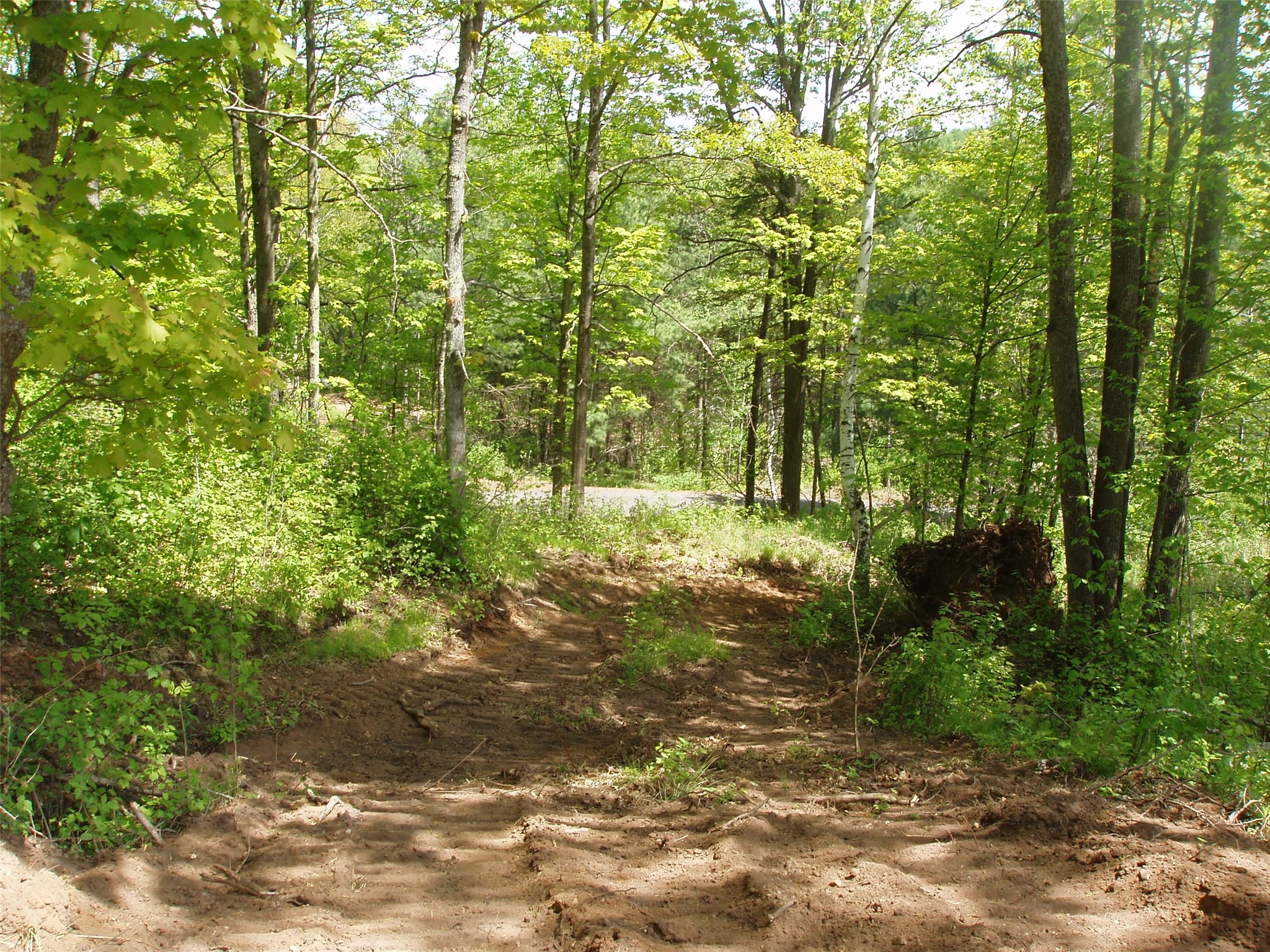 Lot 1 On Highway 169 Property Photo 6