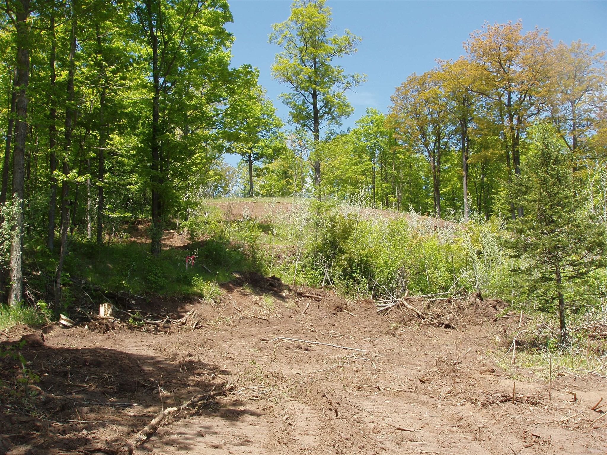 Lot 1 On Highway 169 Property Photo 7