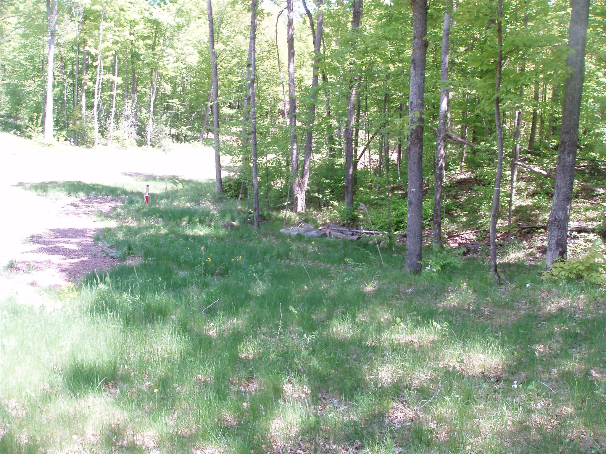 Lot 1 On Highway 169 Property Photo 10
