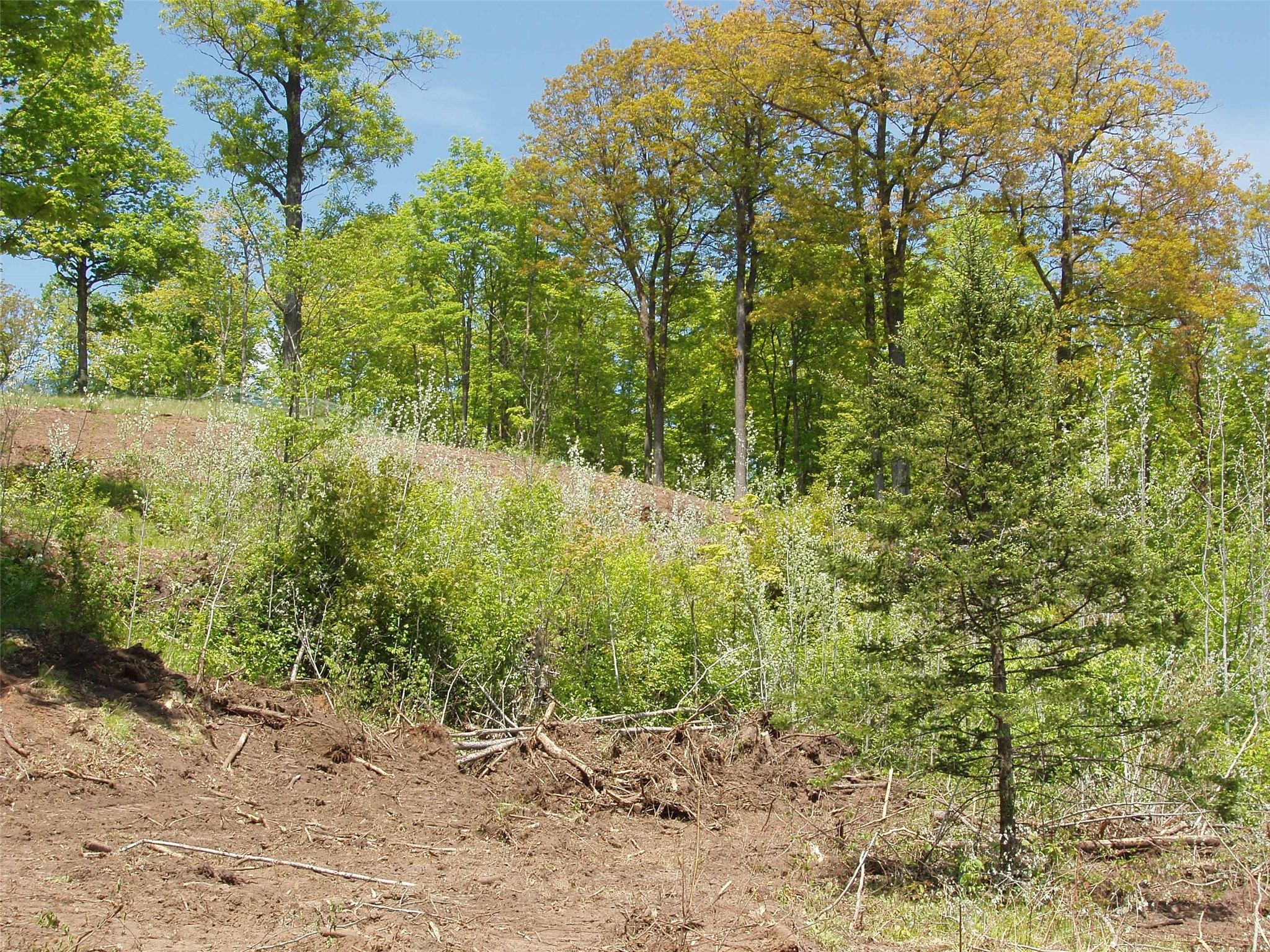 Lot 1 On Highway 169 Property Photo 13