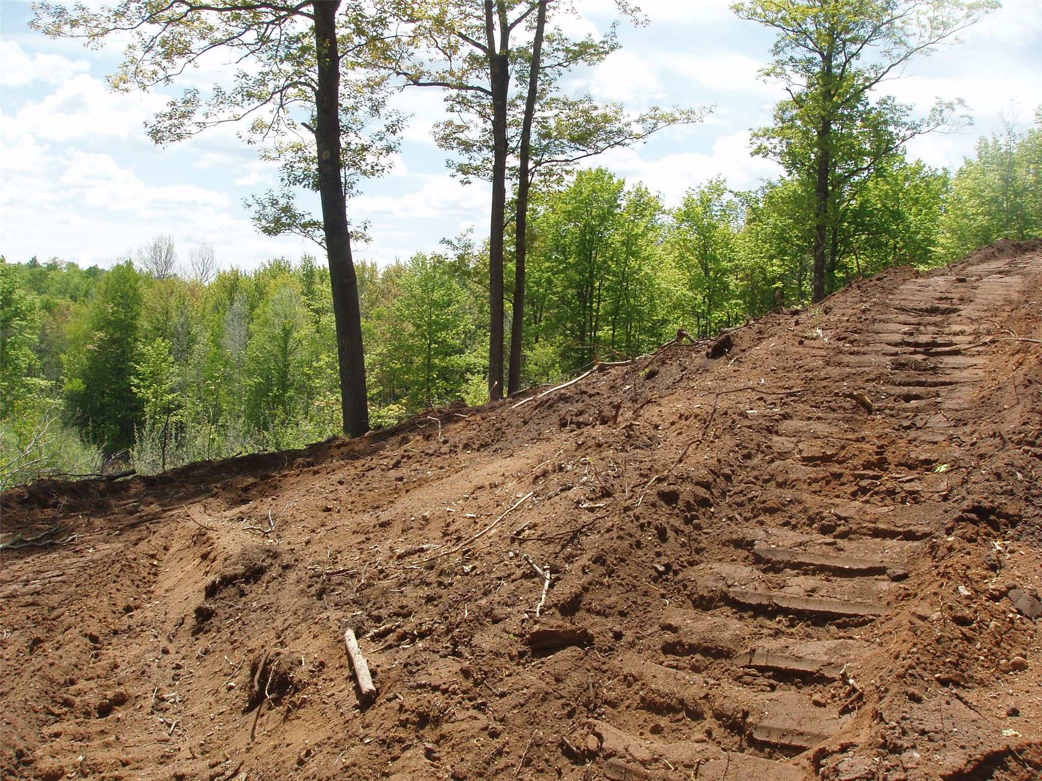 Lot 1 On Highway 169 Property Photo 18