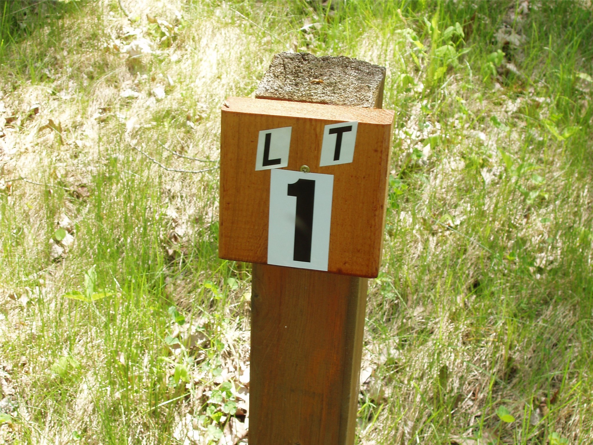 Lot 1 On Highway 169 Property Photo 19