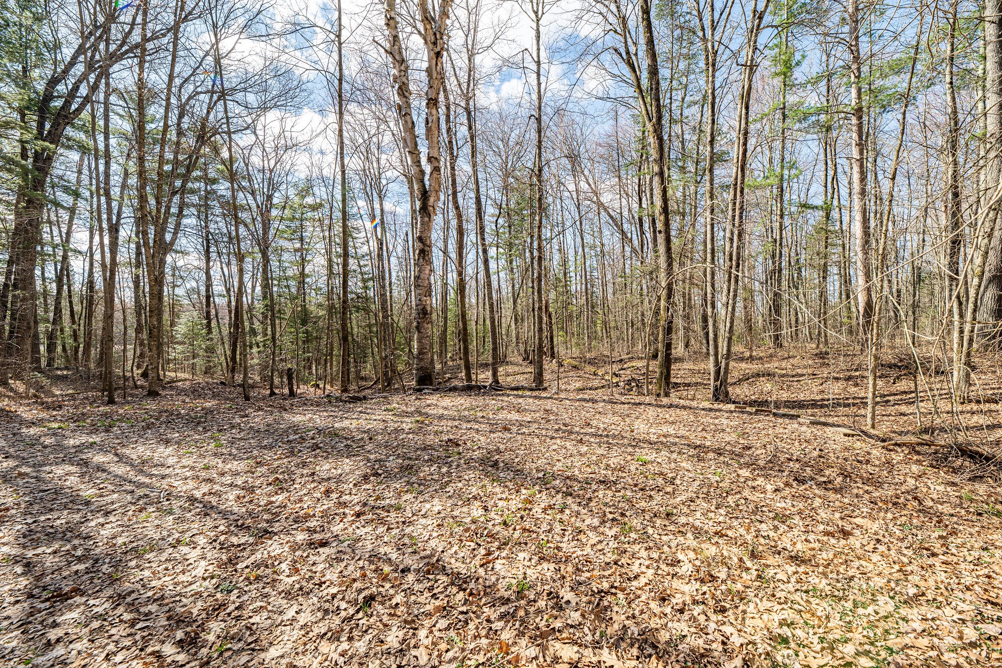 0 Castaway Lane Property Photo 10