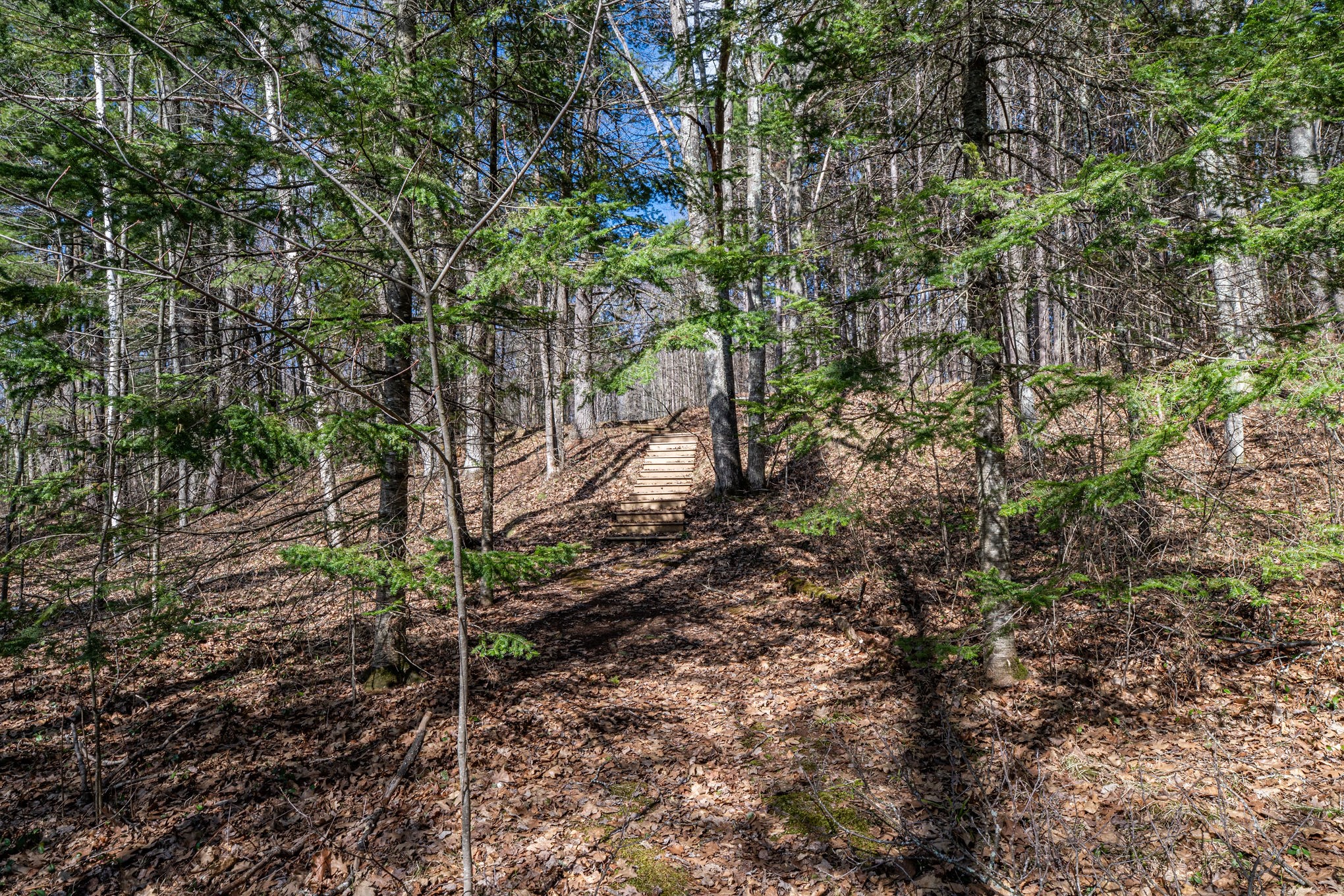 0 Castaway Lane Property Photo 15