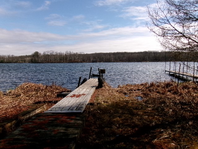 16199 Musky Point Drive Property Photo 19