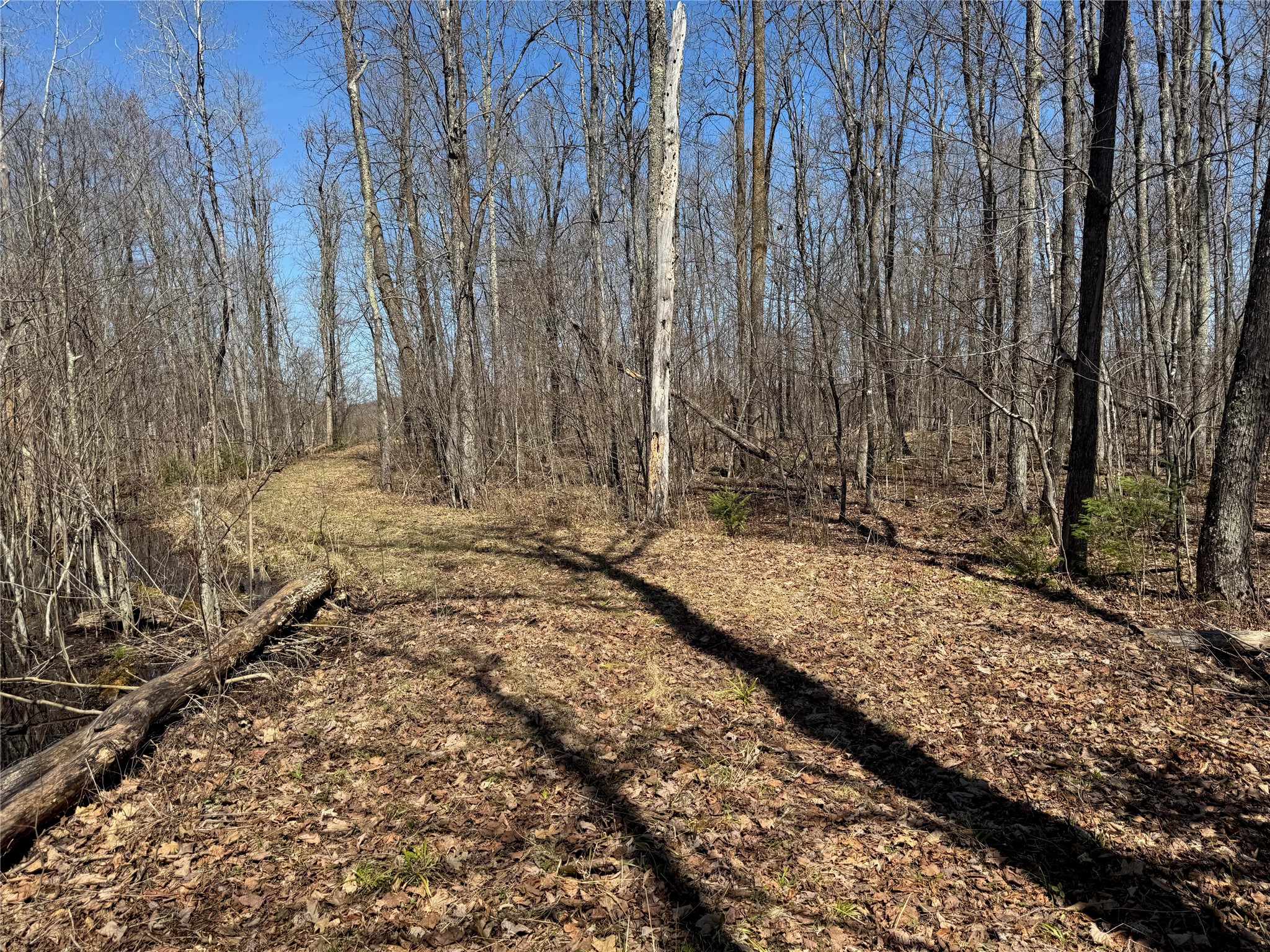 9220 W Scout Trail Property Photo 6