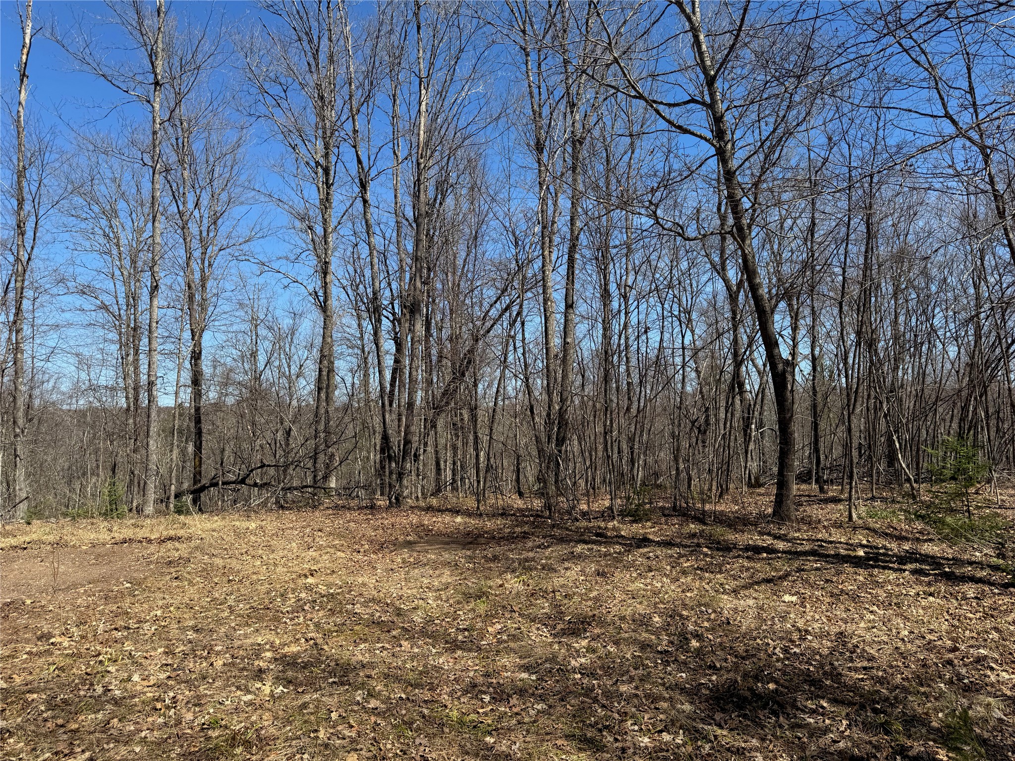 9220 W Scout Trail Property Photo 7