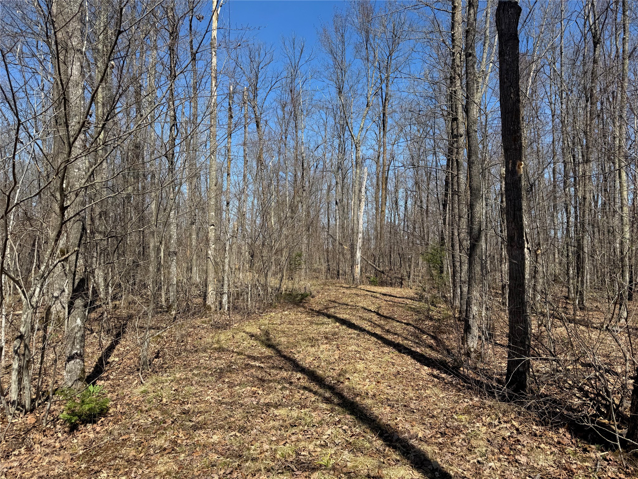 9220 W Scout Trail Property Photo 23