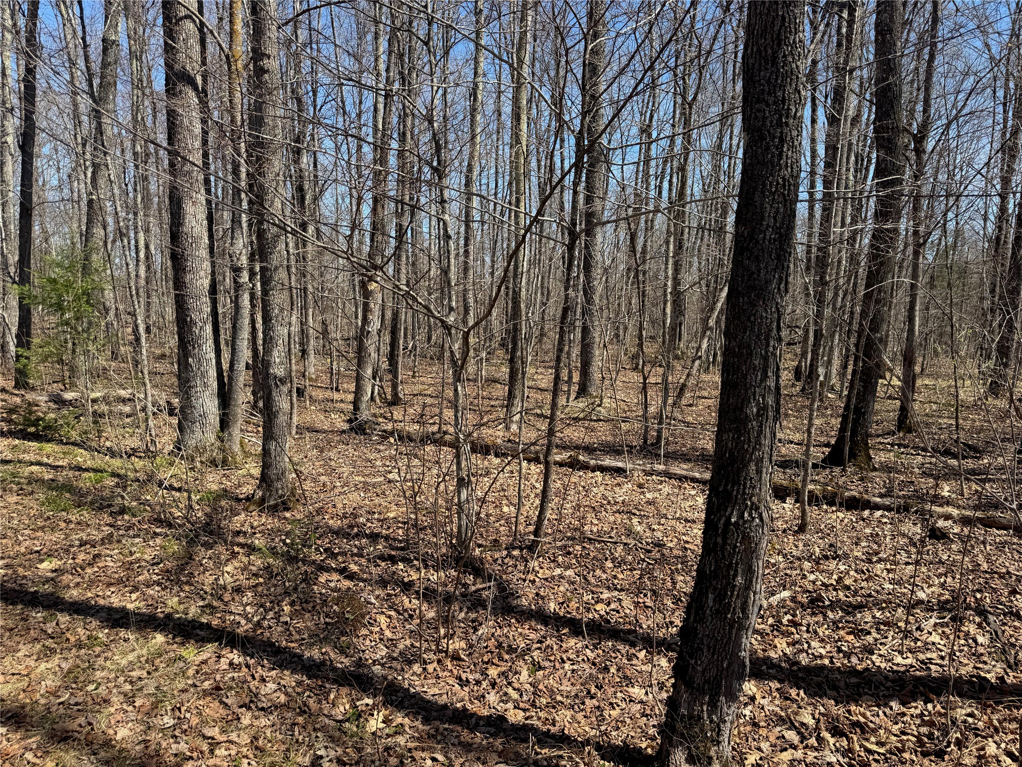 9220 W Scout Trail Property Photo 24