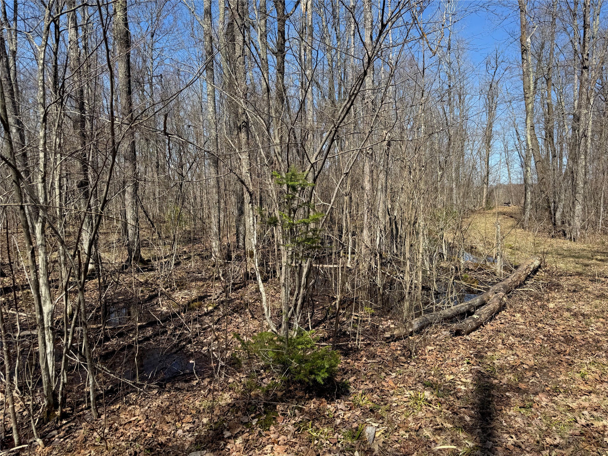 9220 W Scout Trail Property Photo 25