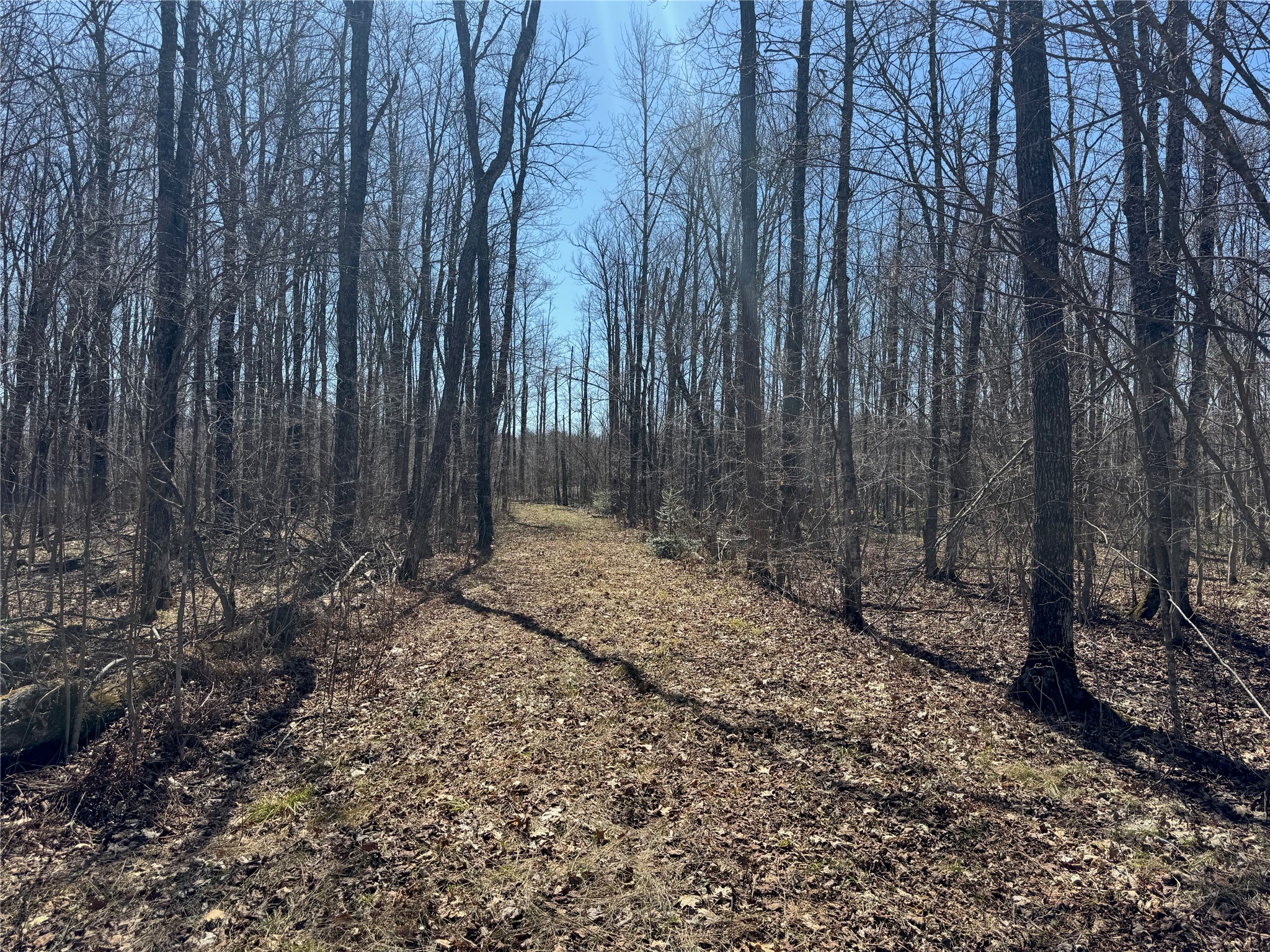 9220 W Scout Trail Property Photo 30