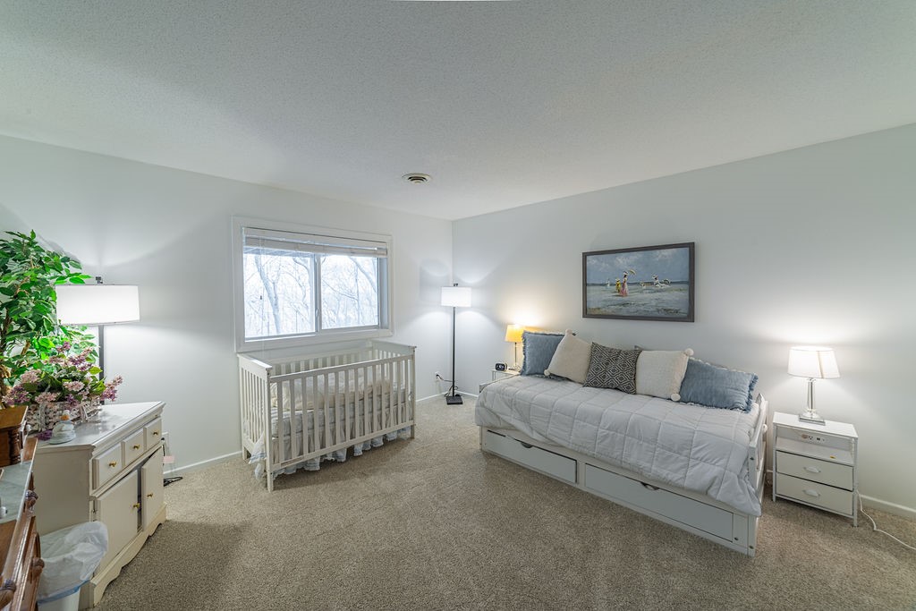 3712 Timber Trails Court Property Photo 48