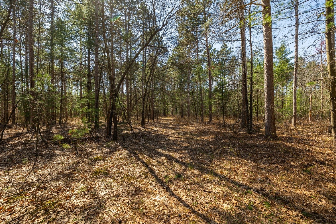 0 Prairie Road E Property Photo 15