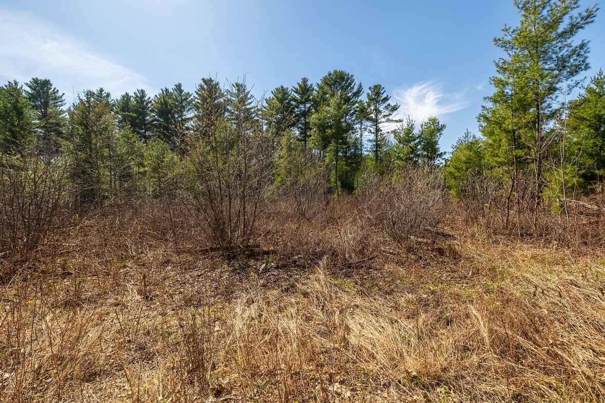0 Prairie Road E Property Photo 4