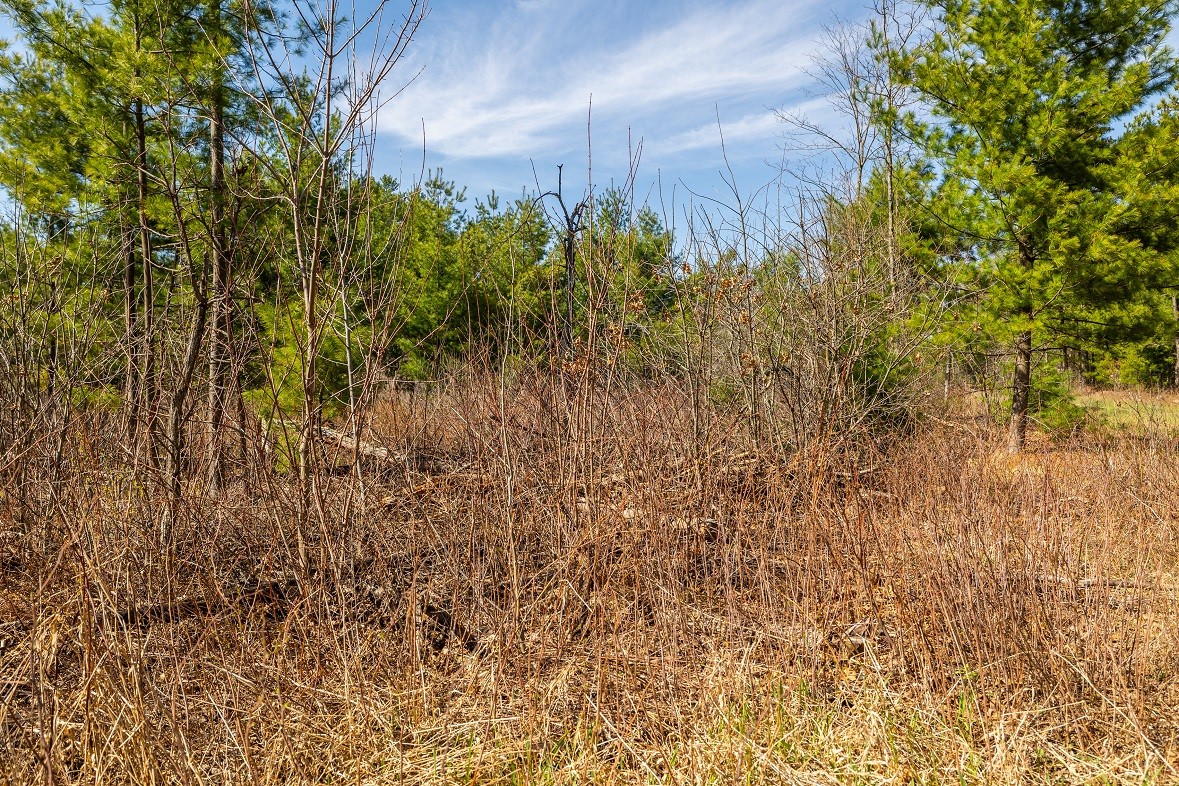 0 Prairie Road E Property Photo 6