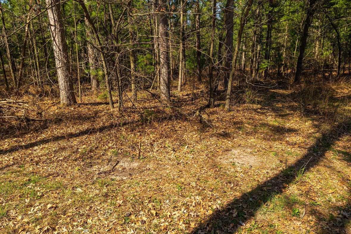 0 Prairie Road E Property Photo 12