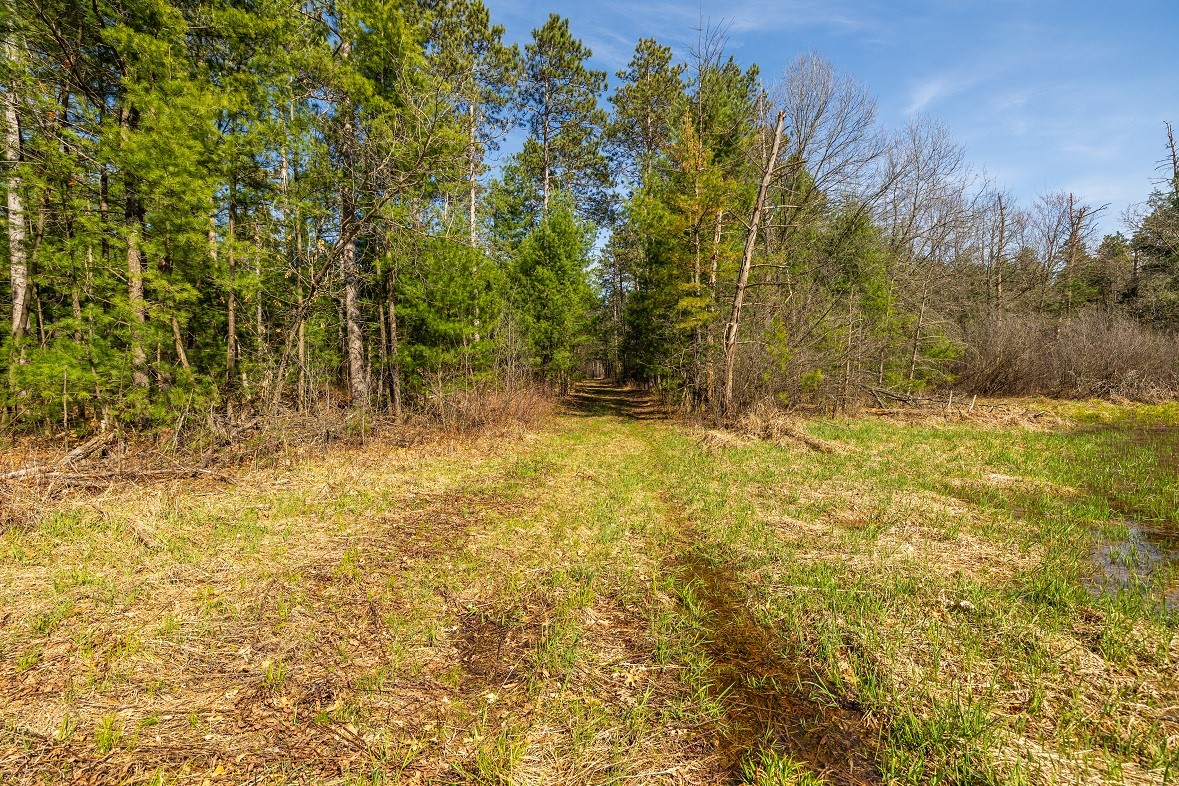 0 Prairie Road E Property Photo 15