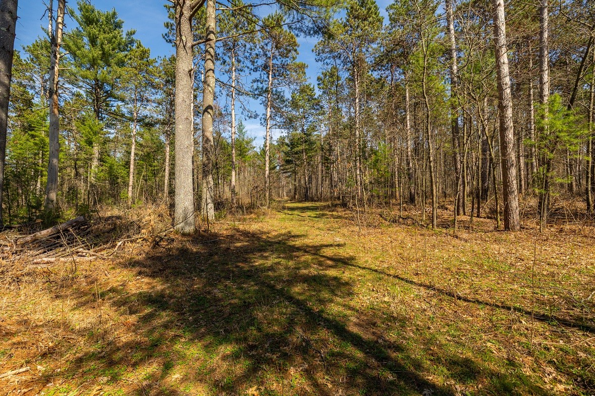 0 Prairie Road E Property Photo 16