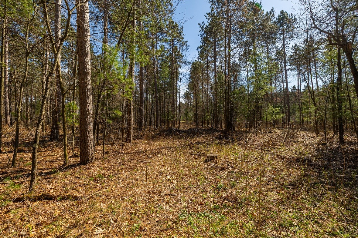 0 Prairie Road E Property Photo 18