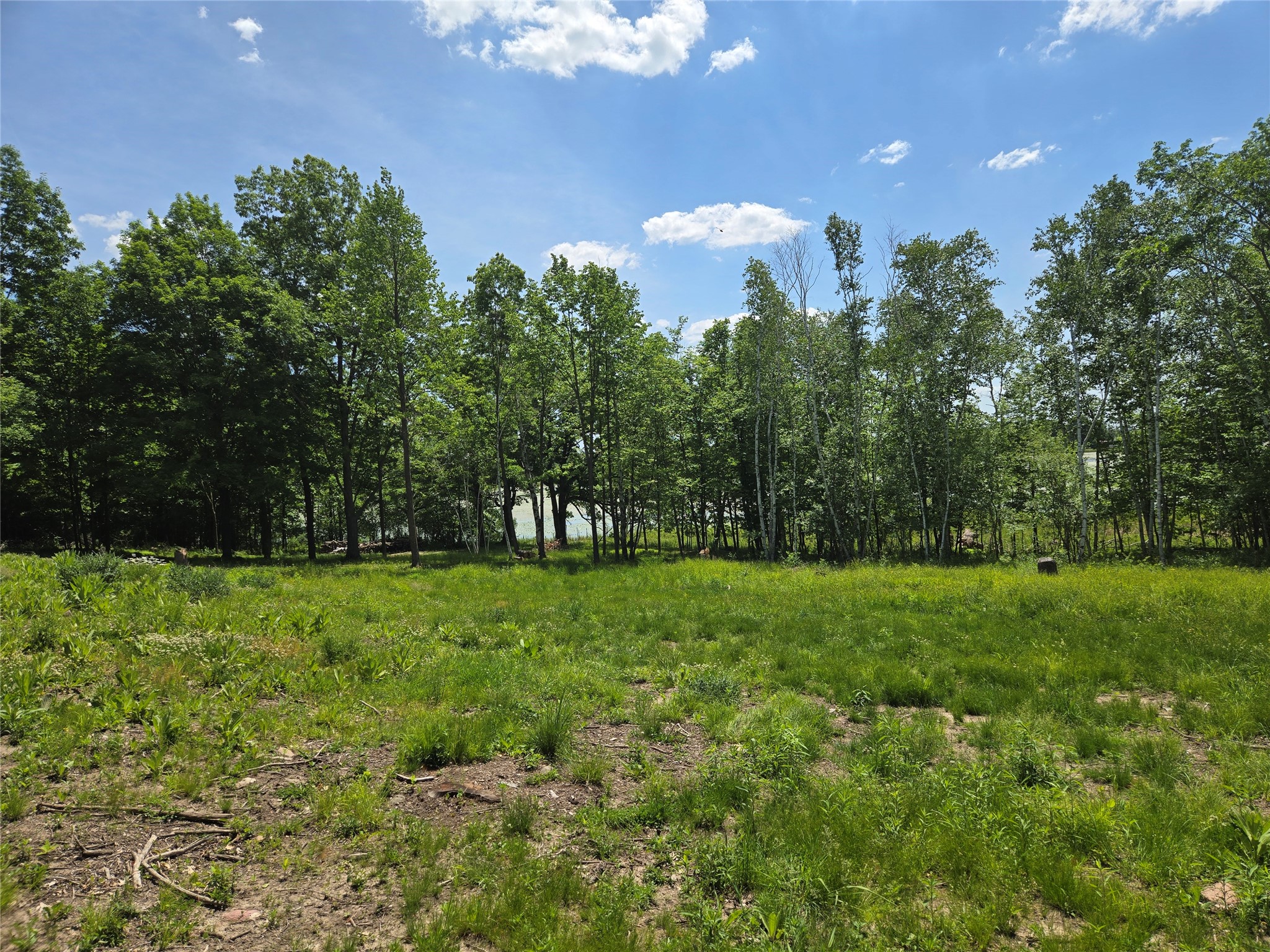 110 90th Avenue Property Photo 3