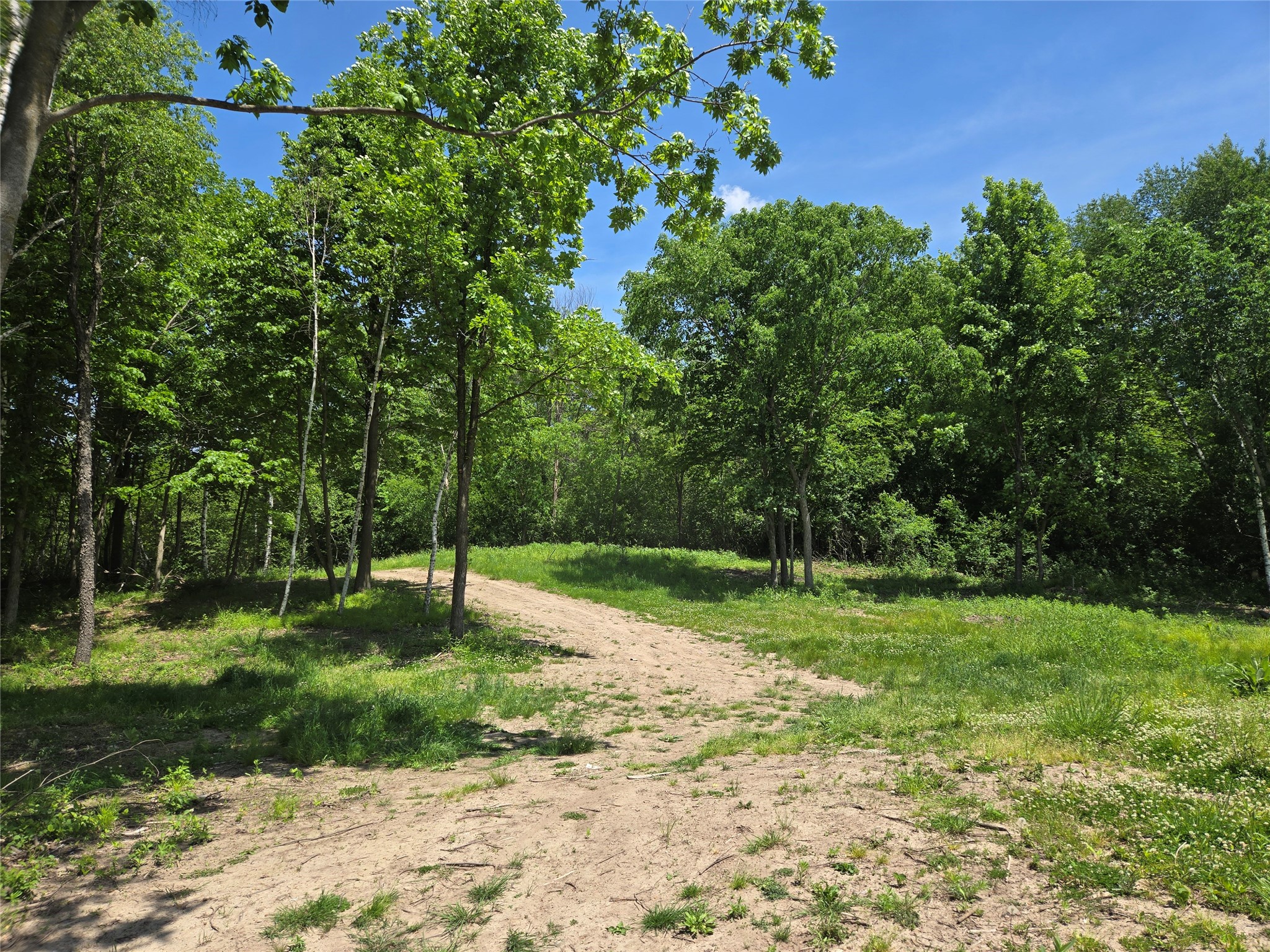 110 90th Avenue Property Photo 4