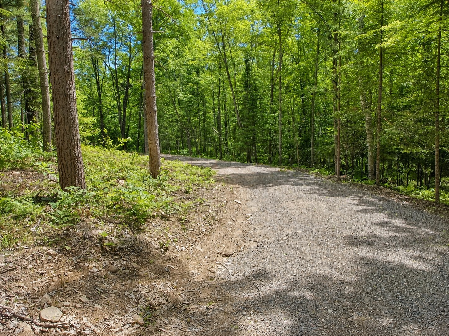 0 Ranch Road Property Photo 6