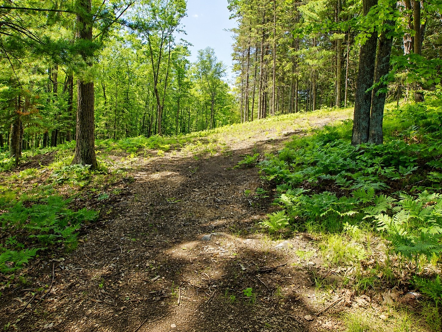 0 Ranch Road Property Photo 7
