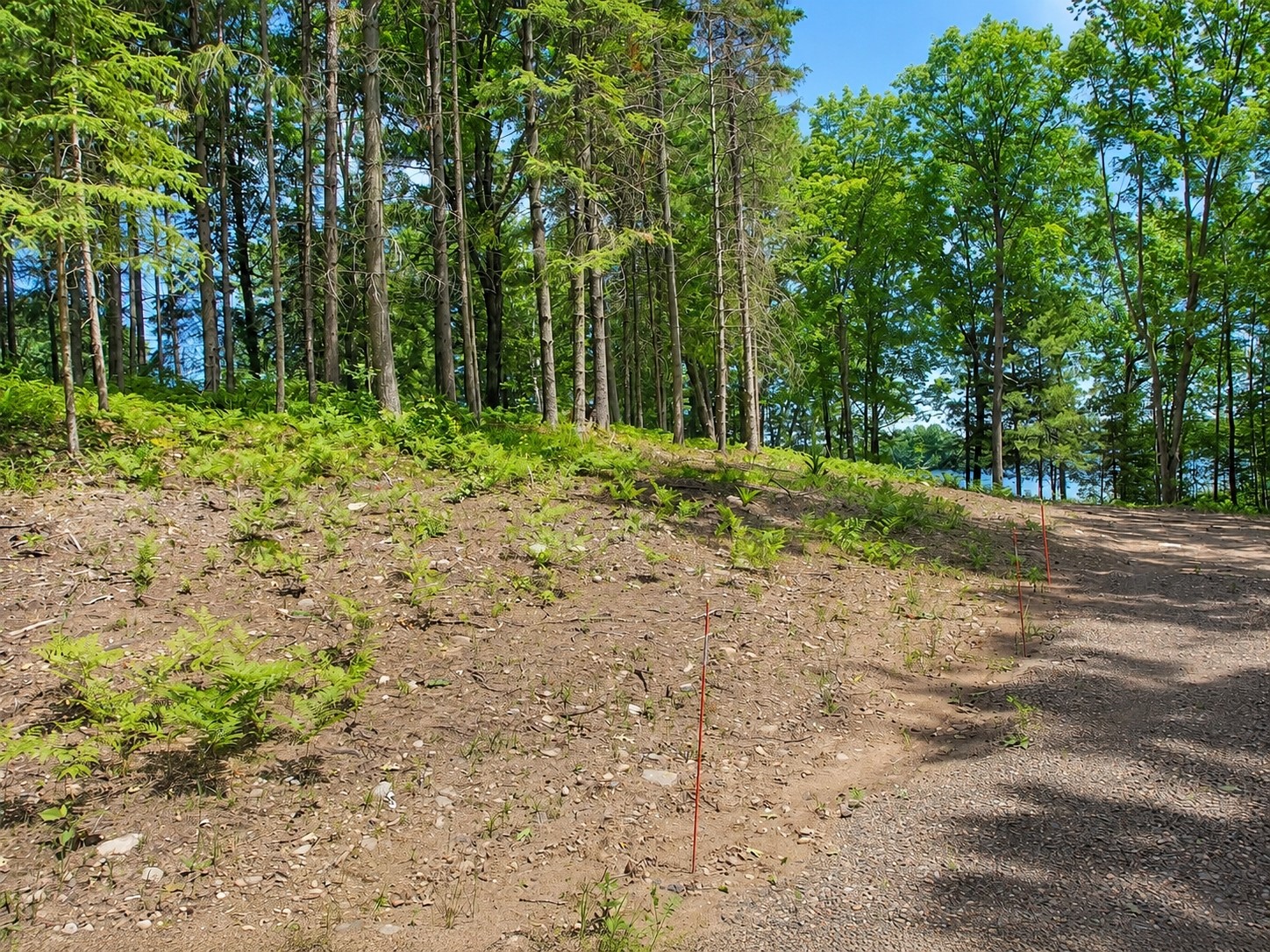 0 Ranch Road Property Photo 9