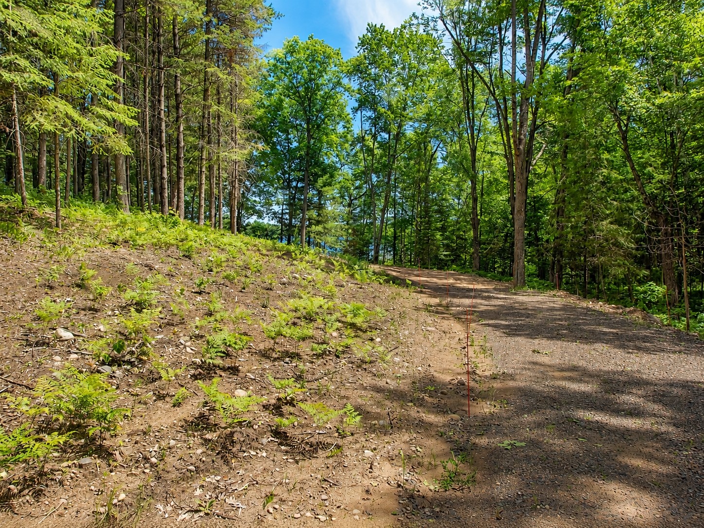0 Ranch Road Property Photo 10