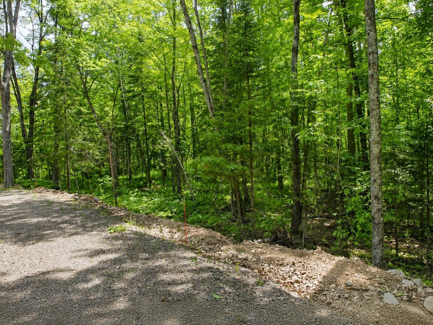0 Ranch Road Property Photo 16