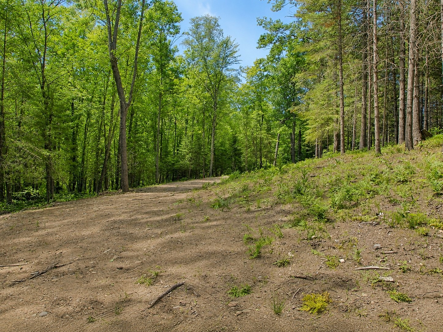 0 Ranch Road Property Photo 18