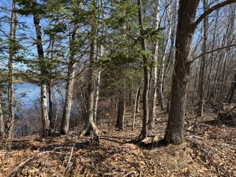 0 Highway 35 Property Photo 10