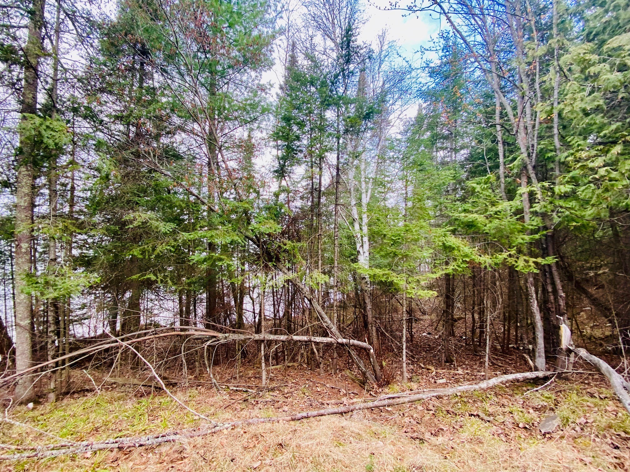 11171 S Engstad Road Property Photo 17