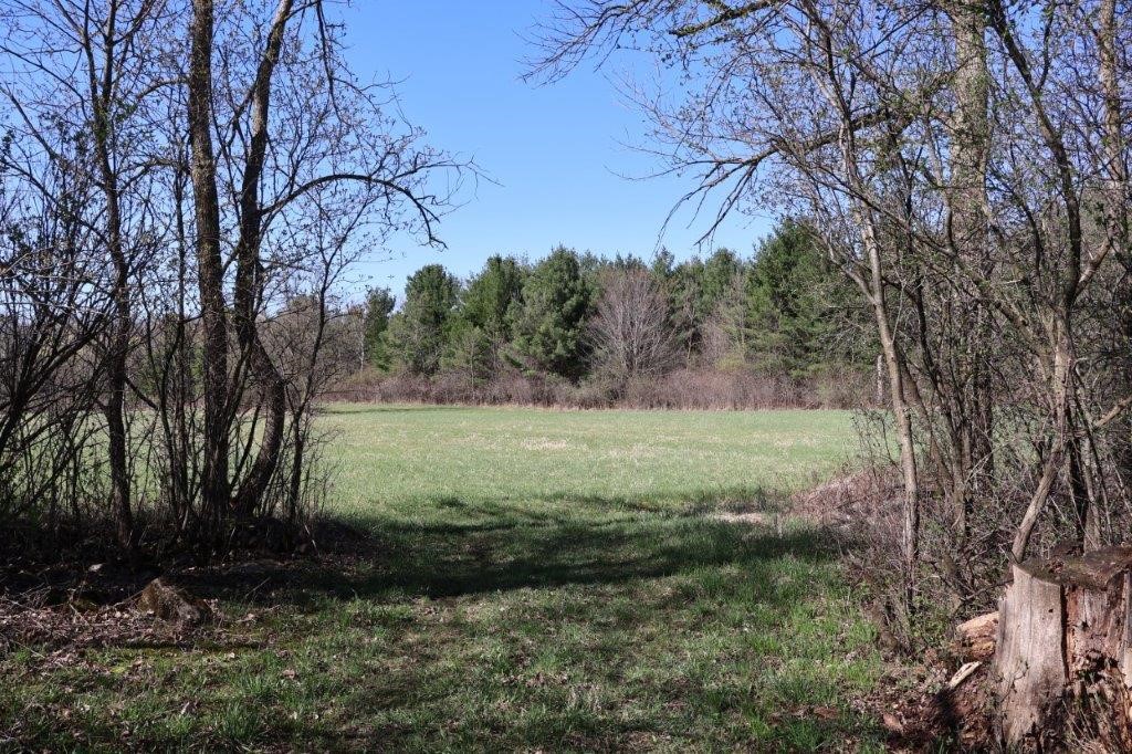 Tbd Us Highway 63 Property Photo 4