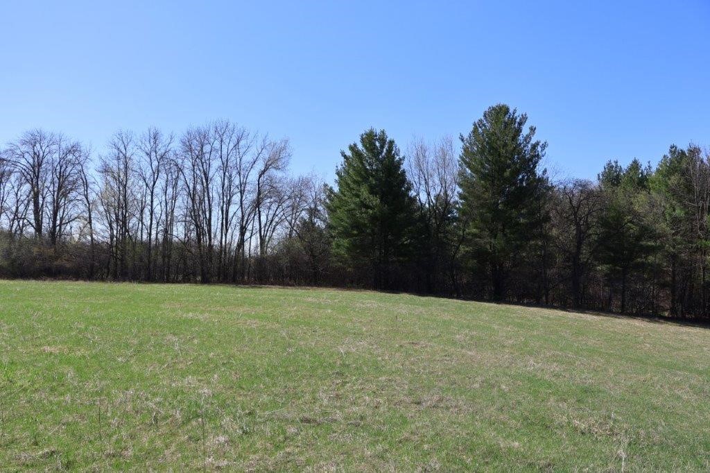 Tbd Us Highway 63 Property Photo 6