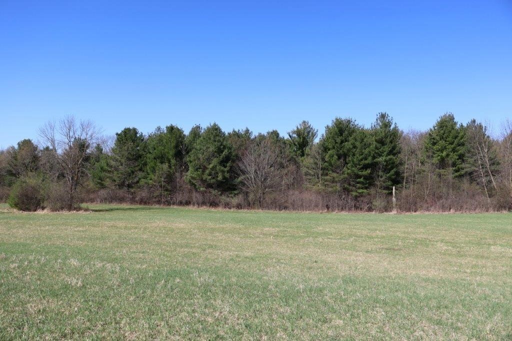 Tbd Us Highway 63 Property Photo 10