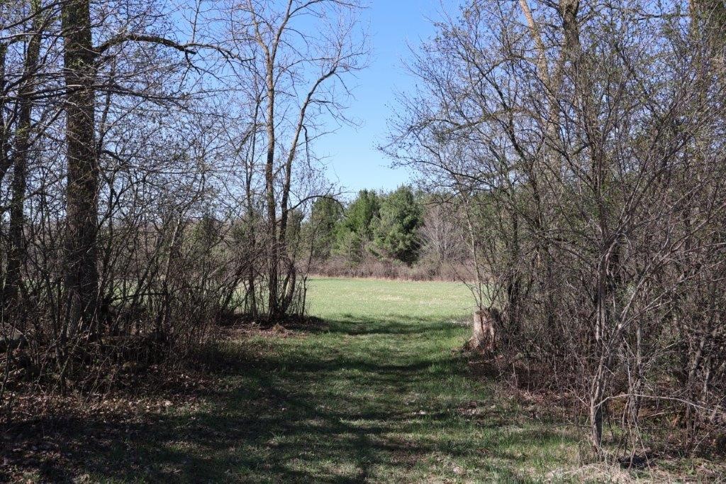 Tbd Us Highway 63 Property Photo 13