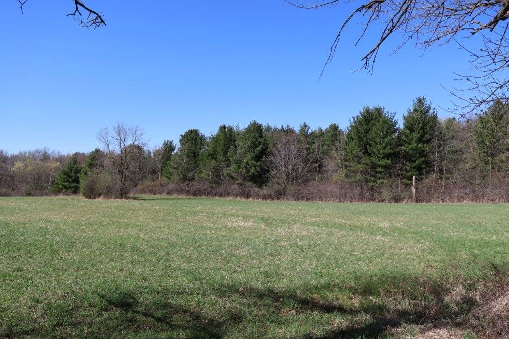 Tbd Us Highway 63 Property Photo 14