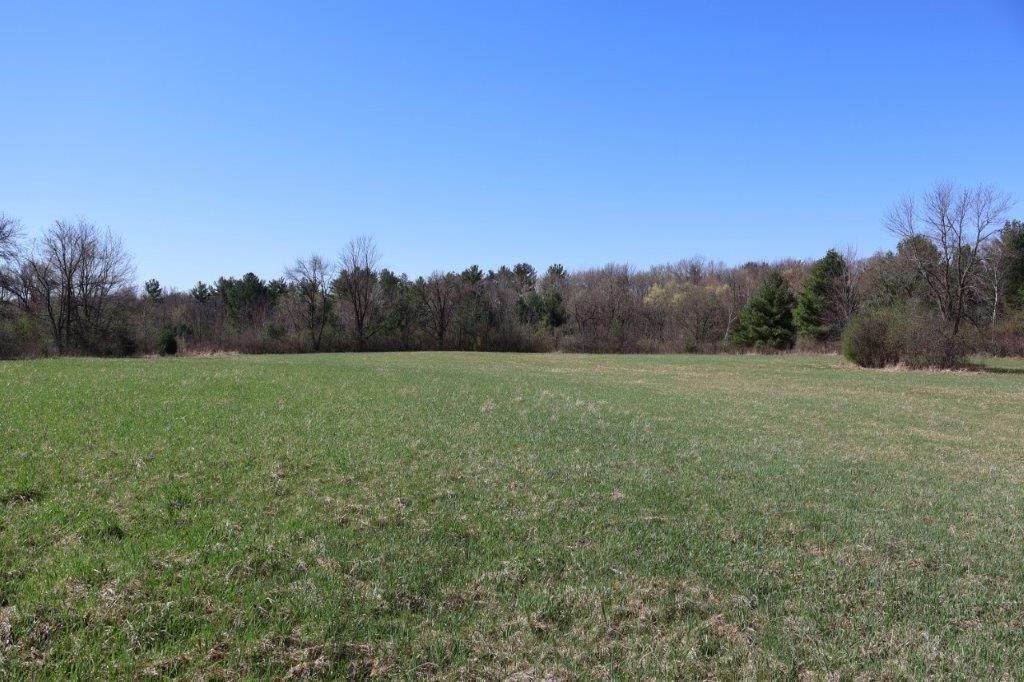 Tbd Us Highway 63 Property Photo 16