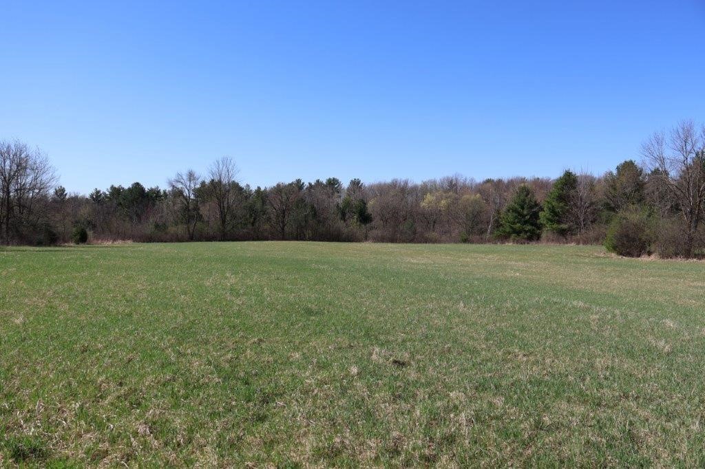 Tbd Us Highway 63 Property Photo 18
