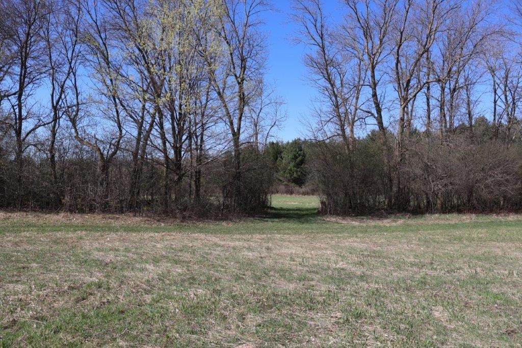Tbd Us Highway 63 Property Photo 27